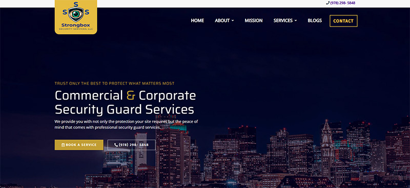 Web Design Services for Small Business strongbox